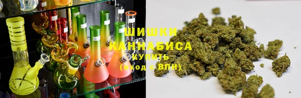 прущие грибы Баксан