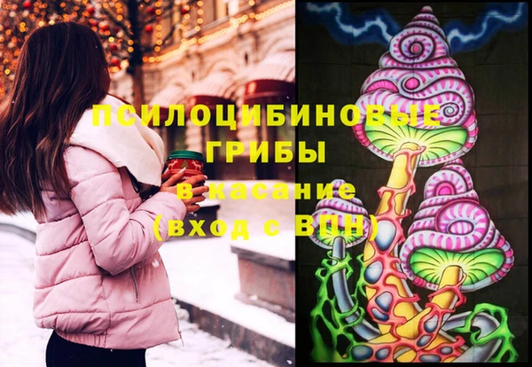 прущие грибы Баксан