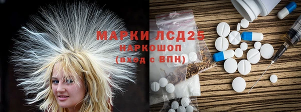 прущие грибы Баксан