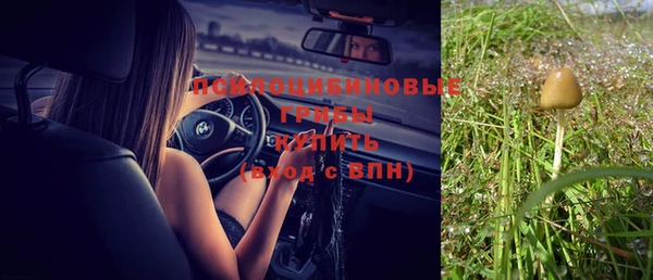 Альфа ПВП Покачи