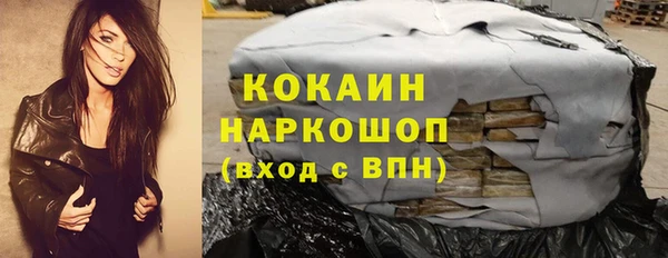 прущие грибы Баксан